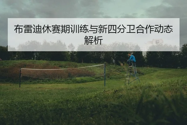 布雷迪休赛期训练与新四分卫合作动态解析