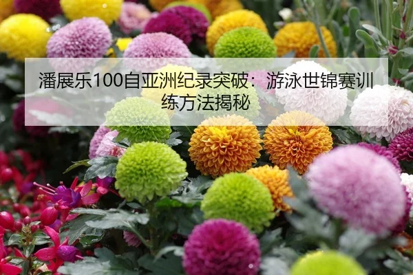潘展乐100自亚洲纪录突破：游泳世锦赛训练方法揭秘